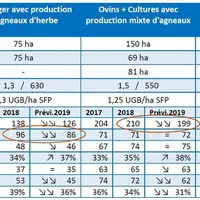 Prévisions économiques 2019 pour trois systèmes avec un atelier ovin © Inosys Réseaux d'élevage ...