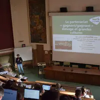 Agrof'île a partagé ses observations sur la complémentarité possible entre cultures et élevage.
