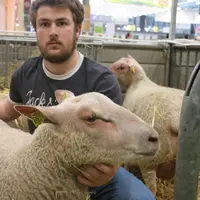 Romain Ferrure (22 ans) et sa mère sont sélectionneurs en mouton charollais et Suffolk en Corrèze. Il prévoit de reprendre l’exploitation en 2021. © B
