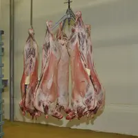 L’abattoir abat environ 25 agneaux par semaine. © B. Griffoul
