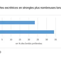 Des brebis fortes excrétrices en strongles plus nombreuses lorsqu’elles pâturent en cellulaire © ENVT/Ciirpo