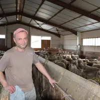 Cédric Breissand, éleveur d’ovins et de bovins dans les Alpes-de-Haute-Provence © D. Hardy