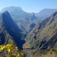 Jusque dans les années 80, La Réunion ne comptait que 35 éleveurs ovins. Leurs animaux pâturaient tous ensemble les terrains forestiers d'altitude. ©