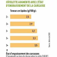 État d'engraissement des carcasses(1)La teneur en lipides de la noix de côtelette augmente avec l'état d'engraissement de la carcasse(1) Classement au