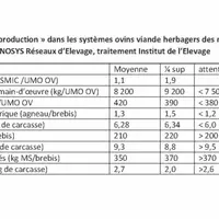 Repères « Coût de production » dans les systèmes ovins viande herbagers des montagnes et zones pastorales © Inosys Réseaux d’Élevage, ...