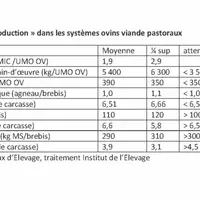 Repères « Coût de production » dans les systèmes ovins viande pastoraux © Inosys Réseaux d’Élevage, ...