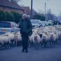 © Ton van Zantvoort