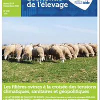 Le dossier annuel ovin retrace l'année économique des filières lait et viande 2019 et donne des perspectives pour 2020. © GEB