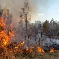 Avec le changement climatique, les sécheresses se succèdent et accentuent le risque d'incendies. © C. Jacobs - Pixabay