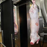 L'abattoir de Rodez, géré par le groupe Arcadie Sud-Ouest, est à l'arrêt depuis le 24 juin, suite à la publication d'une vidéo choc. © L. Geoffroy