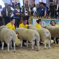 Le concours de Texel se déroulera le mercredi 7 au matin. © D. Hardy