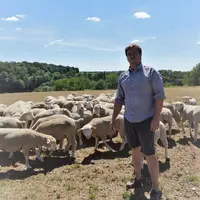 Georges-André est parti d’un lot de 110 brebis en 2014 pour aujourd’hui s’occuper d’un troupeau de 500 têtes. © A. Peucelle