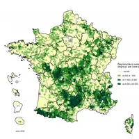 Élevages ovins (ayant déclaré un recensement) © BDNI 2020/Idele
