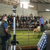 La vente aux enchères était accessible aux éleveurs présents comme aux internautes à distance. © Oson