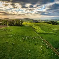 L'aire de production du lait du Roquefort, s'étend dans un rayon de 100 km autour de Autour de Roquefort-sur-Soulzon. © Studio End Naucelle