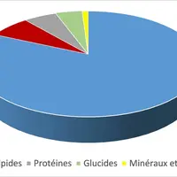 Composition moyenne du lait de brebis © Idele