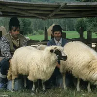 Il est possible de suivre le périple en s'abonnant à une lettre de voyage . © E. Mingasson
