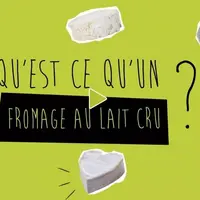 Trois vidéos courtes sont disponibles sur le site pour présenter le lait cru, ses intérêts nutritionnels et les recommandations de consommation. © Cni