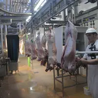 La Sodem renforce sa position dans les filières de viande caprine et ovine en intégrant le savoir-faire et les débouchés de Pierrepont & Fils. © D. Ha