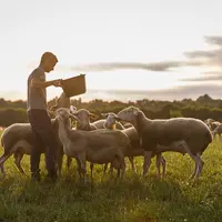 L’objectif en 2021 sera de répondre à toutes les questions posées. © Vrai