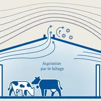 Le vent circule avec davantage de débit entre deux ouvertures faiblement éloignées   © La ventilation des bâtiments ...