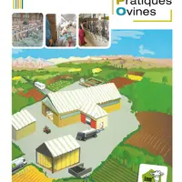 Le Guide des bonnes pratiques ovines s'adresse aux éleveurs allaitants et laitiers. © Inn'Ovin