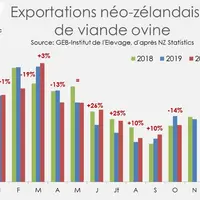 Exportations néo-zélandaises de viande ovine © GEB - Institut de l'Élevage ...