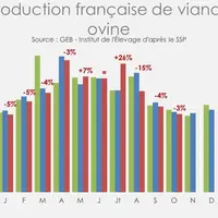 Production française de viande ovine © GEB - Institut de l'Élevage ...