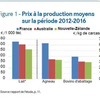 La production ovine coûte deux fois moins cher aux Océaniens qu'aux Français. © GEB - Institut de l'Élevage ...