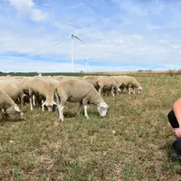 Cindy Simon, 25 ans, est à la tête d’une exploitation de polyculture élevage de 139 hectares. © A. Peucelle