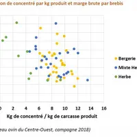 La marge brute par brebis est d'autant plus importante que les kilos de concentré par kilos de carcasse produit sont faibles. © réseau ovin du Centre