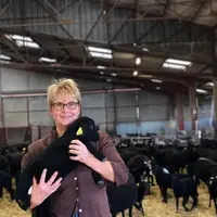 Nathalie Caroux a remplacé ses brebis Est à laine Mérinos par des Noires du Velay. © Caroux