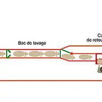 Pédiluve humide et cage de retournement © Equip’Innovin