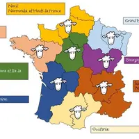 Inn'Ovin souhaite se rendre plus visible et plus proche du terrain. Le programme prévoit donc un découpage supplémentaire de la France pour les cinq p