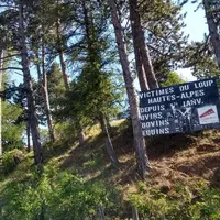 Sur fond de tensions avec les autres usagers de la montagne, éleveurs et bergers tentent de faire entendre leurs voix aux politiques sur la question d