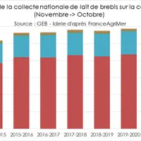 Evolution de la collecte nationale de lait de brebis par campagne (novembre à octobre) © GEB - Idele d'après ...