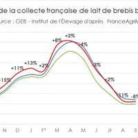 Evolution de la collecte française de lait de brebis biologique © GEB - Institut de l'Élevage ...