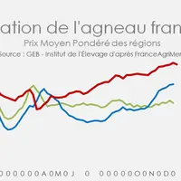 Cotation de l'agneau français - Prix moyen pondéré des régions © GEB - Institut de l'Élevage ...