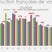 Production française de viande ovine  © GEB - Institut de l'Élevage ...