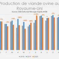 Production de viande ovine au Royaume-Uni  © GEB-Institut de l'Elevage ...