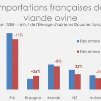 Importations françaises de viande ovine © GEB - Institut de l'Élevage ...