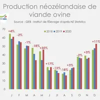Production néozélandaise de viande ovine © GEB - Institut de l'Élevage ...