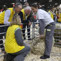Les Ovinpiades, malgré le stress du concours, sont un moment convivial où l'échange entre candidat et jury est primordial. © B. Morel
