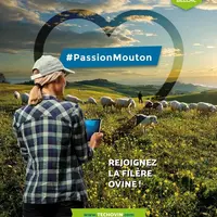 Proposition n°2 pour l'affiche de Tech-Ovin 2021 © Aposno