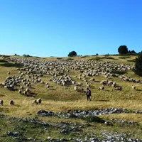Les stagiaires alternent  les cours théorique et les stages sur le terrain pendant six mois. © CFPPA Savoie Bugey
