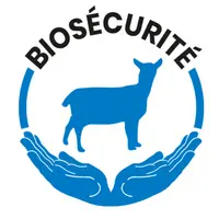 GDS FRance propose une grille pour connaître le niveau de biosécurité de son élevage ovin. © GDS France