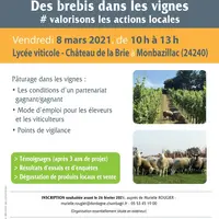 Le 8 mars 2021, de 10 h à 13 h au lycée viticole - Château La Brie à Monbazillac (24) © Brebis_Link