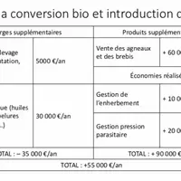 Bilan de la conversion bio et de l'introduction des brebis © SCEA du Clos Bernard