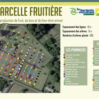 Plan des plantations de la parcelle fruitière © BNR