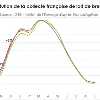 Avec une fin d'année dynamique et un début de campagne plus lent, la collecte de lait de brebis tend vers une stabilité. © GEB - Institut de l'Élevage